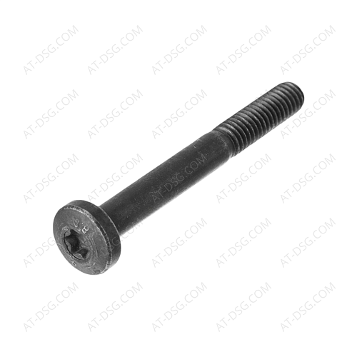 TORNILLO DE CONDUCCIÓN HEXALOBULAR 0736101171 ZF Friedrichshafen AG