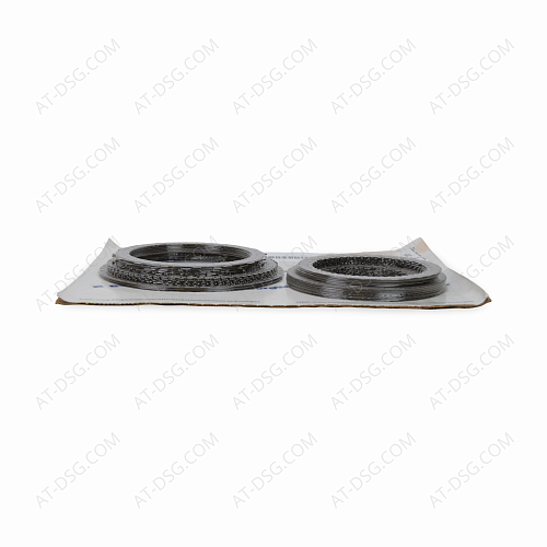 REIBUNGSMODUL 105119B BORG WARNER